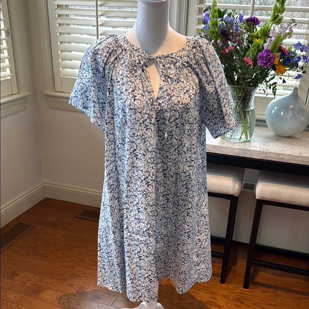 Tuckernuck Blue and White Flutter Sleeve Sundress